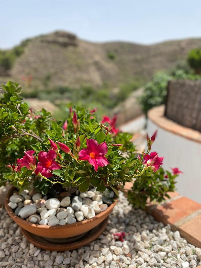 Appartement Cortijo Perejil, A Tranquil Mountain Escape & Private Pool à Oria Extérieur photo