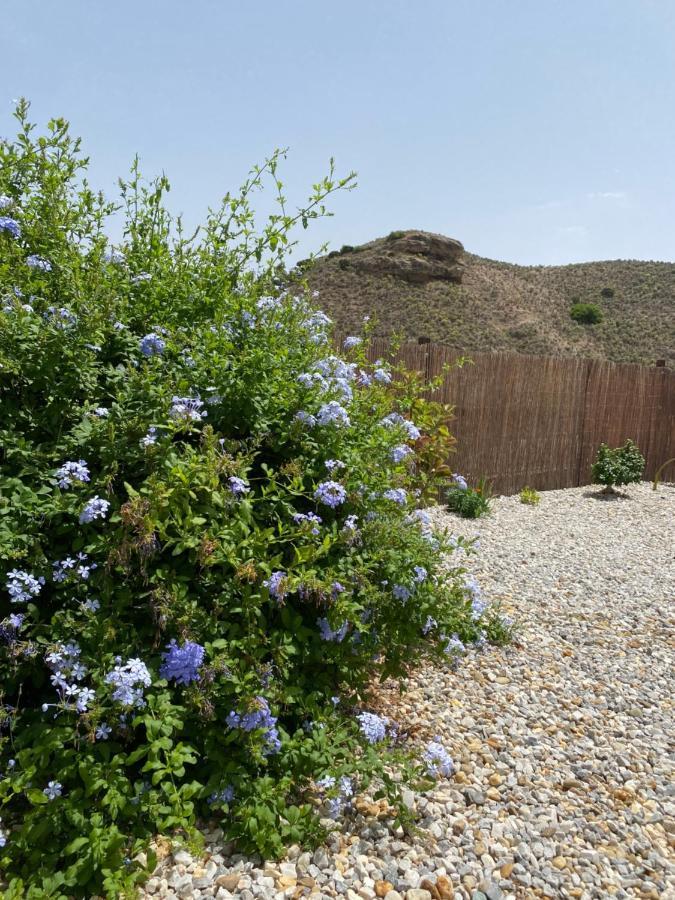 Appartement Cortijo Perejil, A Tranquil Mountain Escape & Private Pool à Oria Extérieur photo